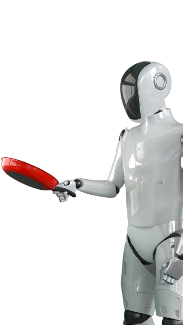 Home Robots